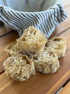 PICK UP ONLY | Natural Loofah Scrubbing Discs for Kitchen & Bathroom Cleaning - Etsy