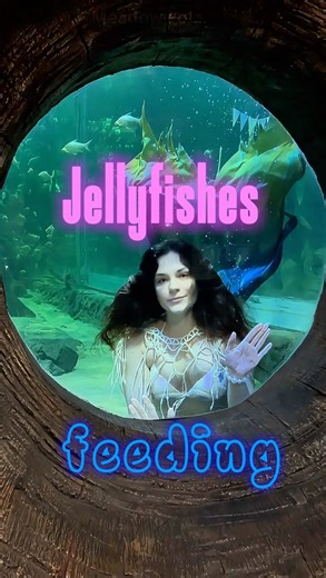 Kuznetcova Alexandra on Instagram: "How do they feed jellyfish in aquariums? . #mermaid #sirena #русалка #русалочка #jalpari"