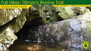 3.7K views · 116 reactions | Have you been to this hidden waterfall in Stokes State Forest? FALL HIKES - Week 2 - This week we hiked the Tillman's Ravine Trail in Stokes State Forest. #NJStateParks #StokesStateForest #NJHiking | New Jersey State Parks, Forests & Historic Sites | Facebook