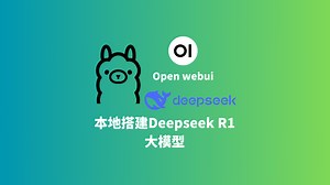 玩一下在本地通过安装ollama运行deepseek r1的大模型