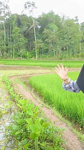 Moe duit di imah🤣 | Utiw Maulidan