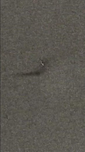 Examining a WWII gun camera film from 1944 !