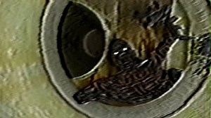 【后室Backrooms】发现的录像「无尽穿越」_哔哩哔哩_bilibili