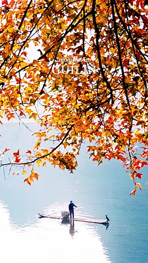 Guilin in Autumn is a symphony of colors, where nature transforms the landscape into a breathtaking masterpiece. Each corner reveals a new chapter in the story of golden hues, leaving us spellbound by the endless beauty." #GuilinBeauty #ExploreGuilin #Guilin #GuilinChina #Guilinlife #Gulin2023 #VisitGuilin #GuilinTravel #GuilinAdventure #GuilinTrip #NatureNirvana #ScenicGuilin #NaturalWonders #CaptivatingViews #EnchantingLandscapes #NatureLoversParadise #BeautyOfGuilin #DiscoverGuilin #MyGuilinS