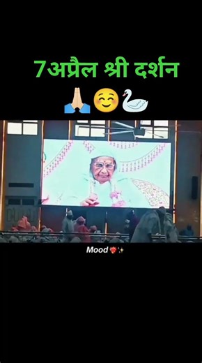 #anandpurdham #ssdn 🥰👏🦢🪷🌷🌺