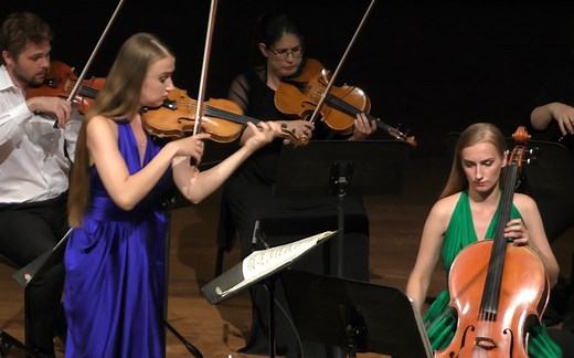 勃拉姆斯 - 大提琴 小提琴 弦乐六重奏双协奏曲 Brahms Double Concerto sextet,1/2/3st mov/Cello Violin