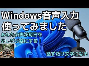 I tried using Windows voice input.