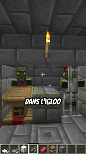 L'igloo est-elle vraiment la structure la plus rare de Minecraft ?