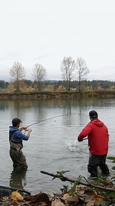 Tidal portion of the Fraser River is now open to coho salmon fishing and it has been quite productive! I had a pretty good morning session with friends yesterday. Check out my latest YouTube episode. https://youtu.be/RihBENz3J9I | Fishing with Rod