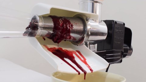 Berry Screen for VKP250 Food Strainer