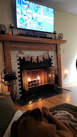 His favorite spot watching football is sleeping next to me ♡ #grahamcrackerchronicles #puppylife #doglover | Tris Bendickson Kellogg