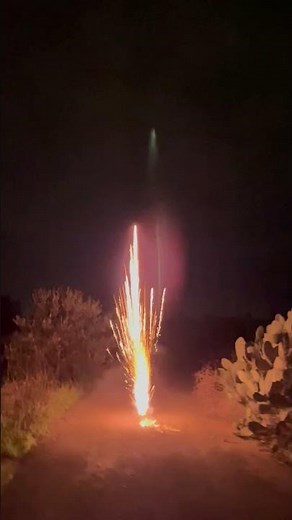 2 DETONATOR #fireworks #pyro #pyrotechnica #experiment #shellcracker #firecracker #explosion