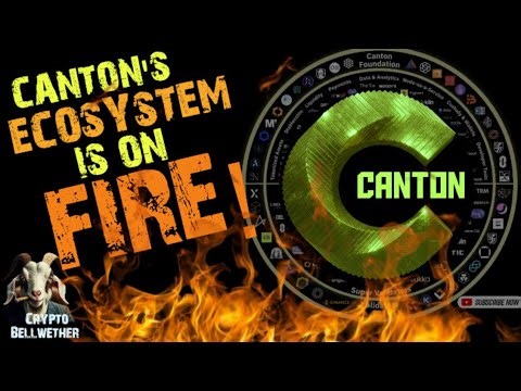 MASSIVE NEWS: CANTON has the FASTEST growing Ecosystem in Crypto - ETH, SOL, XRP, XLM, Can't Compare
