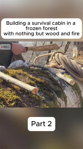 Building a survival cabin in a frozen forest… with nothing but wood and fire#wintersurvival #cabinbuild #bushcraft #fyp