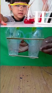 Daly falter making with bottle science experiments#virlshort #experiment#creativeideas#learnscience