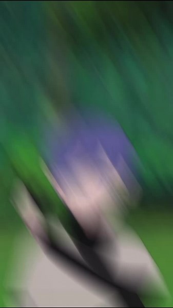 Naoki Hyuga: Unveiling an Akatsuki Legacy