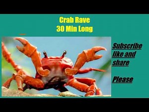Crab Rave 30 Min Long