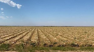 The best strength, the best water application, the best configurations, the best clogging resistance ands the most configurations by far. The first choice of growers worldwide Since 1977 | Rivulis Irrigation