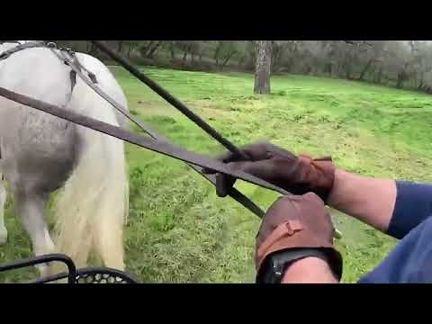 Putting Basic Achenbach Driving Techniques Into Practice