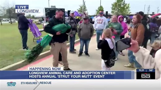 9th annual Strut Your Mutt fundraiser returns with more than 1K participants