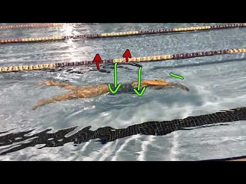 Whole Stroke Timing in Front Quadrant Swimming