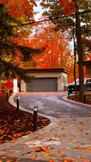 Painted in All the Colors of Fall — Falling Leaves Burst with Color