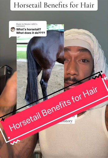 Replying to @Nicole | UGC horsetail has been used for hair growth for thousands of yrs bc of its silicon properties and it’s anti inflammatory aspects which allow for hair circulation allowing the hair to thrive. Shout out horsetail for being the silent key player in a lot of your hair growth products 👀 🤫 • #horsetail #herbs #droppinggems💎 #herbtok #fyp #fyi