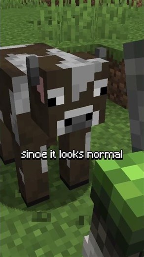 This mod adds the thing.. #minecraft