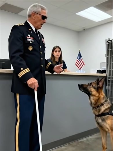 The fluorescent lights in the county shelter flickered like they were afraid of what lived in the back wing. The air smelled of bleach, metal, and endings. I could hear the clock ticking through two closed doors — each second stepping closer to the one where they’d put a needle in me and call it mercy. And then I heard him. Tap. Tap. Tap. A cane, moving with the patience of a man who had already survived the kind of darkness other people only read about. The volunteers whispered in panic — I cou