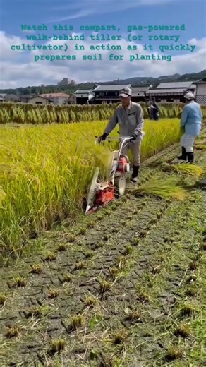 Making Raised Beds Fast #tiller#walkbehindtiller#rotarytiller#raisedbeds#soilpreparation#gardening