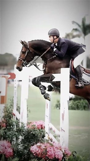 Show jumpin' edit . #edits #horses #horseedits