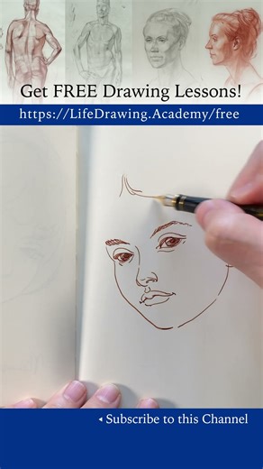How to draw a face in the three quarters view: https://lifedrawing.academy/free