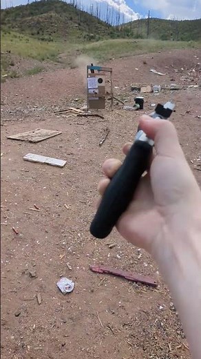 Taurus 66 Revolver .357 Magnum 7 Shots POV