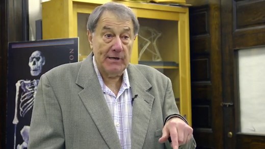 Homo erectus: Expert explains dating technique for Java fossils