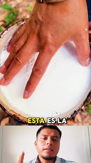 1.1K views | Así se extrae el caucho #reelsviralシ #fypviralシ #hacklife #tendencia | Delicias Mundo Provocador | Facebook