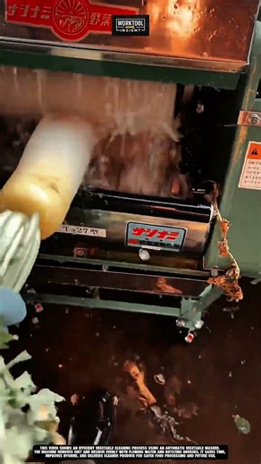 Washing Fresh Vegetables Quickly Using Work Tool Automatic Vegetable Washer #tool #worktool