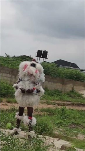 The lion #newvideo #funny #1million #100k #video #chinaboy #lion @chinaboyTV #fyp #viral #comedy