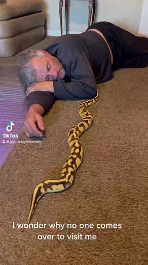 The snake lady 🌙 (@gigi_crazycritterlady)’s videos with original sound - The snake lady 🌙