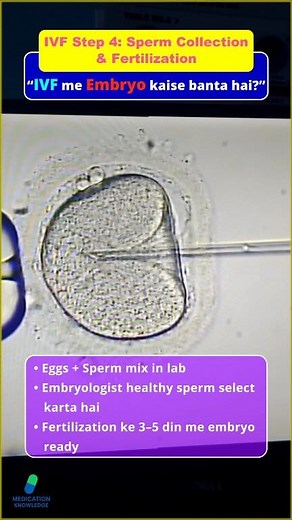 148K views · 620 reactions | Day 24  IVF Step 4 匿 Fertilization = egg + sperm under lab observation. Embryologist healthy sperm select karke ICSI technique use karta hai. ⚠️ Educational content for awareness. #Fertilization #EmbryoCreation #IVFProcess #IVFJourney | Medication Knowledge | Facebook