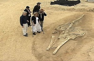 Prehistoric whale fossils emerge from Chile desert