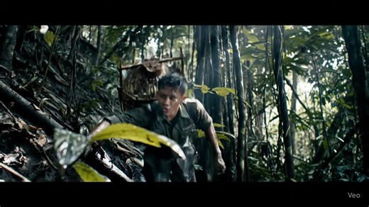 Berburu Burung Murai Batu: Tips dan Video Menarik