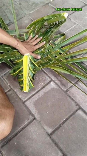 462K views · 7.1K reactions | Cara membuat tas serbaguna dari daun kelapa . #tutorial #anyamandaunkelapa #kreasijanur #coconutleafcraft #idekreatif #tas #bag #fblifestyle #diy #weaving #wovenbag Dewa Ayu Triana Dewi Pengikut | Dwija PanJavas | Facebook