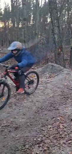 Build a ramp in the forest its sick🗿