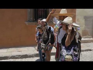 World Donkey Day: Fun Facts for Kids!