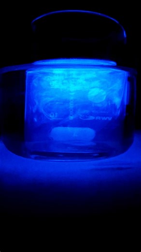 seltenste Reaktion - Oszillation von Luminol - BelousovZhabotinsky #lehrer #science #shorts #schule