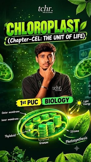 CHLOROPLAST 🟢 The Secret Behind Photosynthesis! 🌿 | 1st PUC Biology
