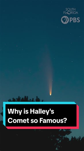 Exploring Halley's Comet: A Celestial Journey