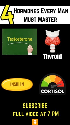 4 Hormones That Secretly Control Your Life