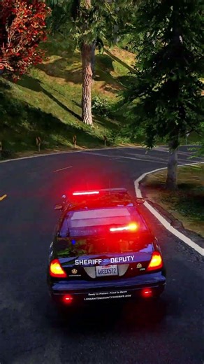 LSPDFR GTA5 police #gta #police #fivem