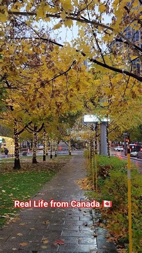 Real Life in Canada – What Daily Life Really Looks Like